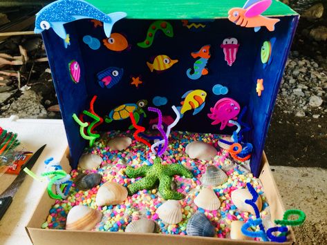 Shoebox Diorama, Ocean Ecosystem, School Project, Ecosystem, School Projects, Shoe Box, The Ocean, Quick Saves