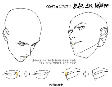 Mouth Different Angles, Lips Angles Reference, Nose At Different Angles, Mouth Anatomy Drawing, Drawing Mouth Reference, Head Angles Drawing Reference, Lips From Different Angles, Head At Different Angles, Mouth Drawing Tutorial