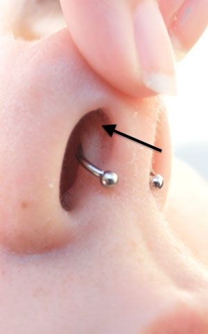 (not properly placed) arrow pointing to traditional placement #correct #septum #piercing Septum Placement, Septum Inspiration, Nose Piercing Placement, Beautiful Piercings, Piercing Placement, Piercing Designs, Tongue Piercings, Piercing Chart, Septum Rings