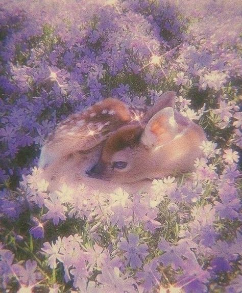 Purple Cottagecore, Violet Aesthetic, Fairycore Aesthetic, Lavender Aesthetic, Ethereal Aesthetic, Aesthetic Cottagecore, Lavender Sage, Fairy Aesthetic, Cottagecore Aesthetic