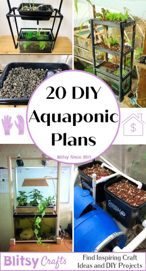 Aquaponics Greenhouse Diy, Aquaponic Gardening With Fish, Vertical Garden Aquaponics, Vertical Hydroponic Gardening Diy, Diy Hydroponics System, Hydro Garden, Aquarium Hydroponics, Hydroponic Fish Tank, Fish Tank Aquaponics