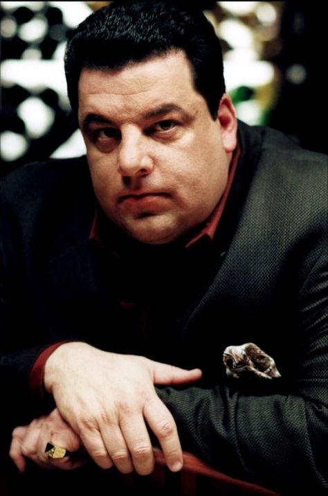 "and I always thought okay, hunchback of notre dame. you also got your quarterback and halfback of notre dame." Sopranos Characters, Bensonhurst Brooklyn, Sopranos Cast, James Gandolfini, Bada Bing, Best Tv Series Ever, Steve Buscemi, Tony Soprano, The Sopranos