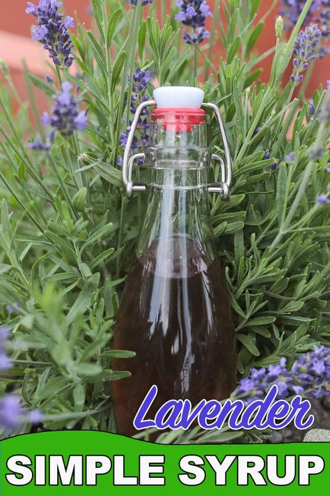 This delicious lavender simple syrup is easy to make, and has so many uses! Lavender Simple Syrup Recipe, Traeger Smoked Chicken, Loquat Recipes, Lavender Latte Recipe, Smoked Chicken Thighs, Lavender Simple Syrup, Bachelorette Brunch, Lavender Shortbread Cookies, Simple Syrup Recipe