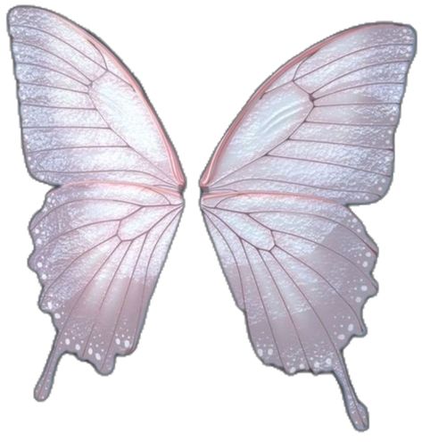 Wings Png, Most Popular Flowers, Popular Flowers, Fairy Wings, Butterfly Art, Butterfly Wings, Paper Dolls, Cute Stickers, Dungeons And Dragons