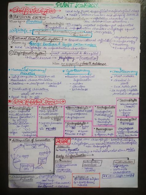 Handwritten detailed short notes 🌸 PAGE-1 Biological Classification, Bio Notes, Learn Biology, Short Notes, Plant Kingdom, Atomic Structure, Study Flashcards, Biology Notes, Study Motivation Inspiration