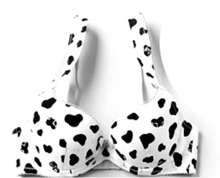 Cow Bra for breastfeeding ... LOL =) Cow Bra, Printed Bras, Cow Print, Halloween Outfits, Cow, Bra, Crop Tops, My Style, Halloween