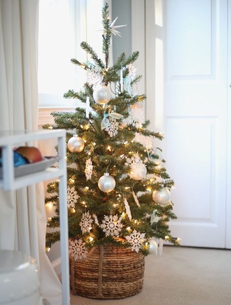 Small Christmas Tree in Basket Small Christmas Tree Basket, Christmas Tree Apartment Small Spaces, Small House Christmas Tree, Small Christmas Tree In Basket, Small Christmas Tree In Bedroom, Small Bedroom Christmas Tree, Decorating Small Christmas Trees, Small Christmas Tree Ideas Decoration, Mini Christmas Tree Ideas Decoration