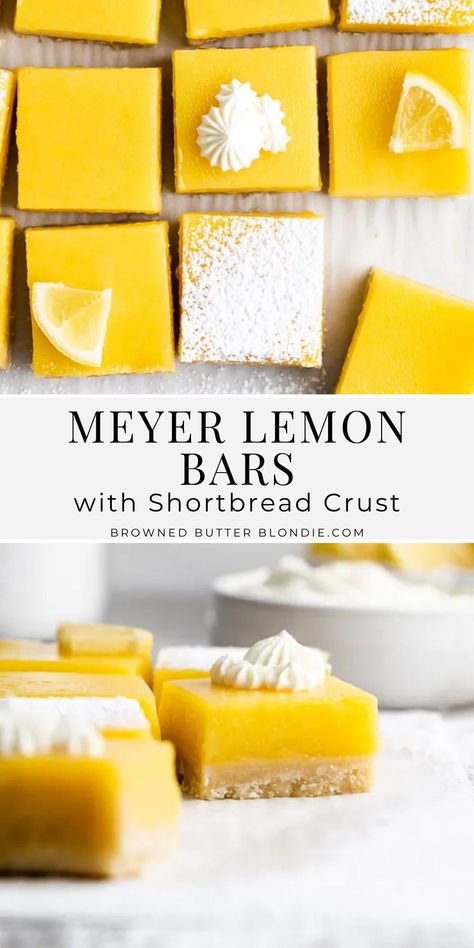 Flourless Lemon Bars, Lemon Curd Bars, Tart Lemon Bars, Brown Butter Lemon Bars, Lemon Bars With Pecan Crust, Easy Crowd Pleasing Desserts, Lemon Bars Shortbread Crust, Meyer Lemon Desserts, Thick Lemon Bars