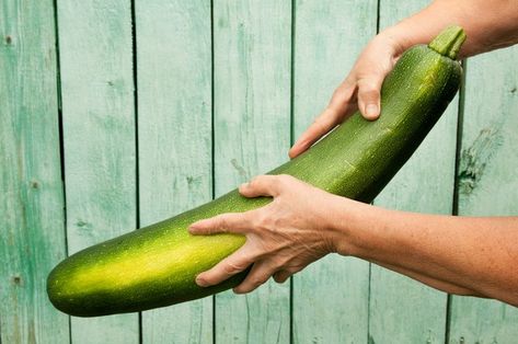 What to Do With an Extra Large Zucchini? | LEAFtv Large Zucchini Recipes, Large Zucchini, Yellow Zucchini, Yellow Squash, Green Vegetables, Plant Protein, Zucchini Recipes, How To Cook, Natural Remedies