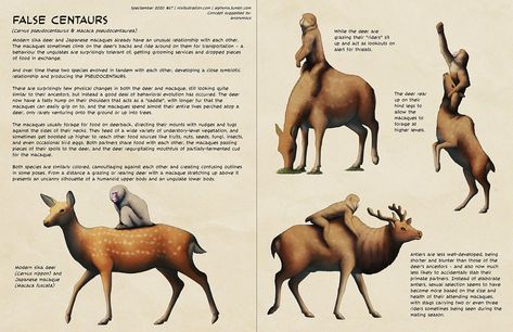 Speculative Biology, Speculative Evolution, Animals Information, Robot Animal, Beast Creature, Creature Artwork, Curious Creatures, Fantasy Beasts, Alien Concept Art