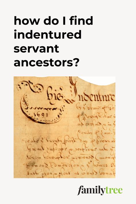 Facial Reconstruction, Indentured Servants, Irish Genealogy, Genealogy Help, Grave Yard, Genealogy Websites, Genealogy Forms, Genealogy Book, Family Tree Genealogy