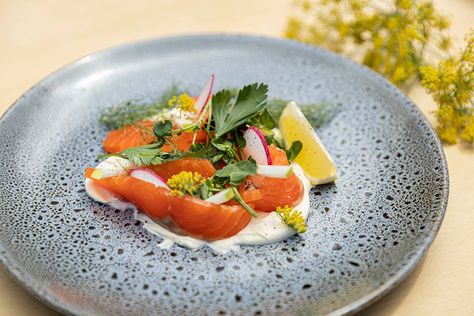 Gin Cured Ocean Trout with Crème Fraiche — Everyday Gourmet Cured Trout, Fennel Fronds, Sliced Lemon, Trout Recipes, Watercress, Best Chef, Coriander Seeds, Fennel Seeds, Fennel