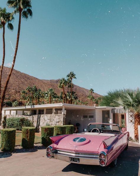 Palm Springs Aesthetic, Pink Cars, Aesthetic Pink, Palm Springs, Palm Tree, Springs, Cars, Pink, Instagram