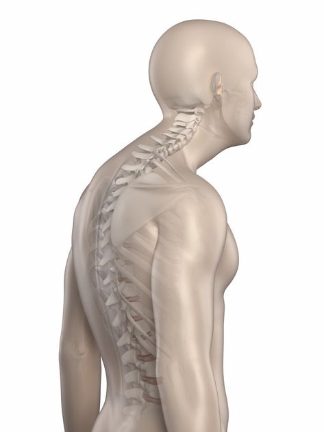 The Spine Institute of Southeast Texas Blog: Hunching Every Day? You Could Be Developing Kyphosis Dave Fisher, Forward Head Posture Exercises, Boring Office, Text Neck, Neck And Shoulder Muscles, Middle Back Pain, Forward Head Posture, Posture Exercises, Muscle Imbalance