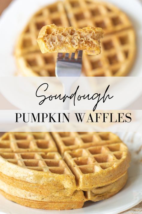 Sourdough Discard Pumpkin Waffles, Sourdough Pumpkin Waffles, Pumpkin Sourdough Waffles, Pumpkin Waffle Recipe, Sourdough Waffle Recipe, Homestyle Recipes, Pumpkin Waffles Recipe, Sourdough Pumpkin, Cornbread Waffles