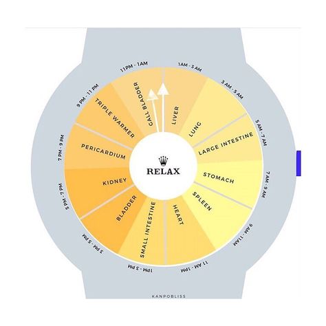 Federica Quintarelli on Instagram: “Repost from @kanpobliss using @RepostRegramApp - What time do you feel your body out of wack? 🥺 In TCM, there’s a theory that each organ is…” Body Clock, Large Intestine, Life Force, Traditional Chinese Medicine, Chinese Medicine, Instagram Repost, Do You Feel, Medicine, How Are You Feeling