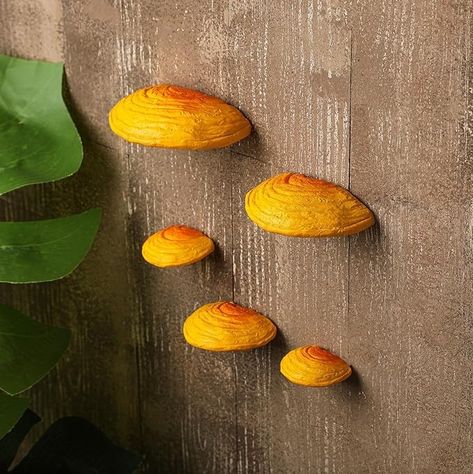 Amazon.com: Geetery Set of 5 Mushroom Shelf Wall Decor - Adhesive Mini Resin Mushroom Floating Shelves Cute Mushroom Hanging Shelf Home Kitchen Bedroom Cottage Core Decor & Gecko Reptile Tank Accessories (Brown) : Home & Kitchen Hufflepuff Bedroom Ideas, Bedroom Cottage Core, Mushroom Shelf, Shelf Wall Decor, Core Decor, Cottage Core Decor, Reptile Tank, Fairy Home, Cute Mushroom