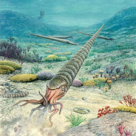 An artist’s concept of marine life during the Ordovician Period, which spanned from 485 to 443 million years ago Prehistoric Planet, Brescia Italy, Prehistoric World, Paleo Art, Extinct Animals, Dinosaur Art, Prehistoric Creatures, Prehistoric Animals, Tempera