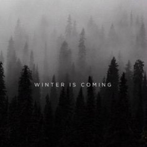 Bundle Up To Save And Stay Warm! Winter Is Coming Quote, Game Of Thrones Instagram, Game Of Thrones Winter, Game Of Thrones Facts, Game Of Thrones Quotes, The North Remembers, Game Of Thrones Funny, King In The North, Gra O Tron