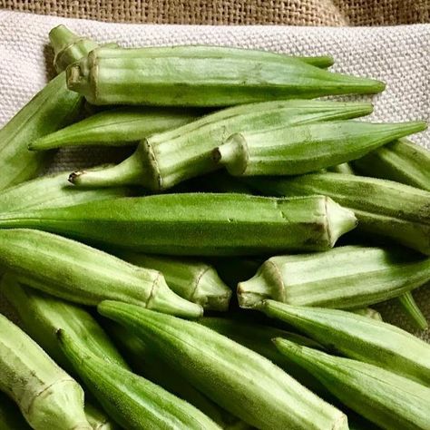 Jyoti Pandey-Pathak on Instagram: "Okra is one of those vegetable, either you like it or dislike. I simply love okra anyway it is cooked. This is how I cook mine with simple and basic ingredients and minimum spices. What is your favorite way of cooking okra? … … … #okra #vegetable #onmytabletoday #ladiesfinger #ramtoriya #ramtoriyakotarkari #simplefood #simplevegetable #tasteognepalcookbook #foodsandflavorsfromnepal" Cooking Okra, Okra Vegetable, How To Cook Okra, What Is Your Favorite, Okra, Nepal, Easy Meals, Instagram