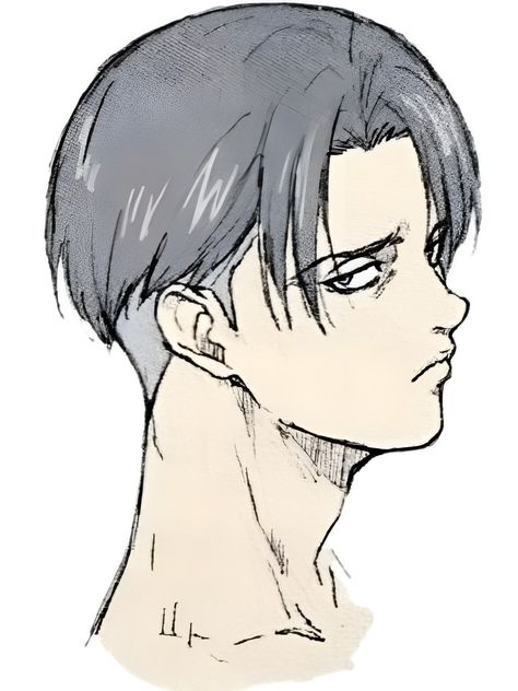 Levi Ackerman Drawing Reference, Levi Reference, Levi Sketch, Levi Ackerman Drawing, Levi Drawing, Levi Hair, Sketch Tools, Levi Manga, Attack On Titan Series