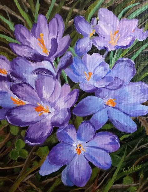 Spring Crocus, Spring Flower Art, Crocus Flower, Acrylic Painting Flowers, Oil Pastel Paintings, Gouache Art, Painting Inspo, Watercolor Flowers Paintings, Chalk Pastels