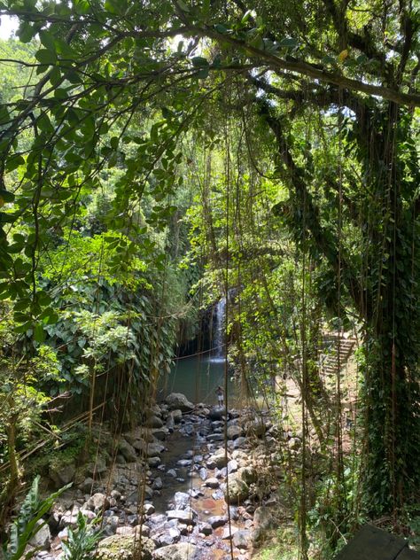 Grenada Caribbean Aesthetic, Caribbean Culture Aesthetic, Grenada Aesthetic, Grenada Vacation, 2025 Rebrand, Caribbean Aesthetic, Caribbean Summer, Grenada Caribbean, Coral Mermaid