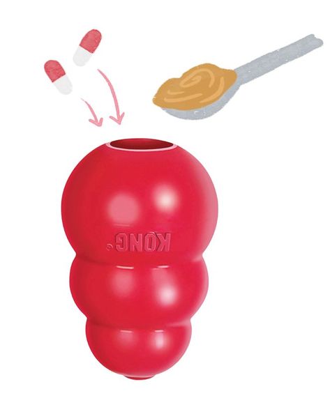 13 Fun Ways to Use a KONG Kong Dog Toys, Pet Dental Care, Kong Toys, Veterinary Clinic, Dog Blog, Water Toys, Sporting Dogs, Fish Oil, Chew Toy