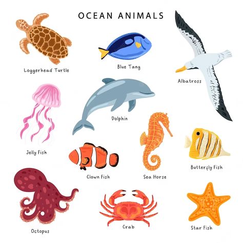 Premium Vector | Set of ocean animal illustration ocean animals poster for kids education Ocean Animal Illustration, Sea Animals Drawing, Animal Kids Room, Animals Poster, Drawing Quotes Creativity, Quotes Creativity, Animals Drawing, Eye Chart, Tree Drawings Pencil