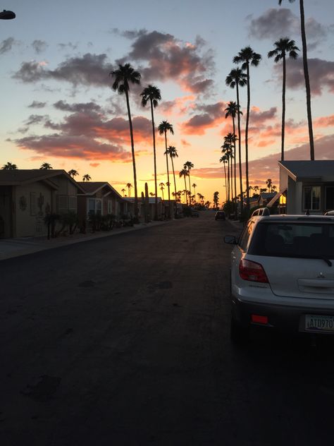 Arizona Palm Trees, Arizona Aesthetic, Arizona Photography, Missing Home, Tree Sunset, Palm Tree Sunset, Desert Dream, Mesa Arizona, Mesa Az