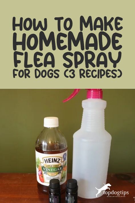 I've been using DIY flea sprays for dogs for years now. Learning how to make homemade flea spray for dogs can help you save money and reduce your pet's exposure to harmful chemicals. Here are three DIY homemade flea sprays for dogs recipes that are all-natural and 100% safe for pets! Natural Pet Flea Repellent, Diy Flea Spray For Dogs Essential Oils, Natural Tick Spray For Dogs, Flea Spray For Dogs Essential Oils, Natural Flea Spray For Dogs, Diy Dog Flea Spray, Apple Cider Vinegar Flea Spray, Dog Flea Remedies Diy, Flee Spray Diy