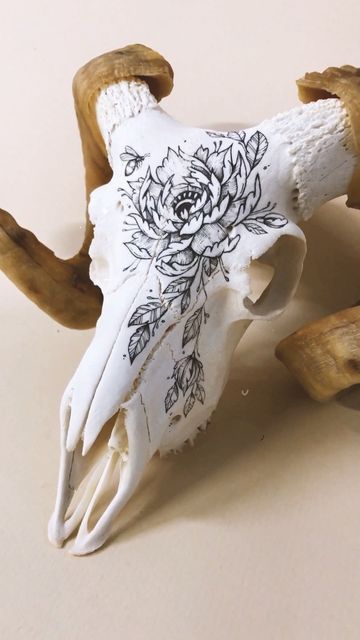 Painted Bones Art, Painting Deer Skulls, Painted Skull Ideas, Hog Skull, Animal Bone Art, Deer Antlers Diy, Bone Cabinet, Painted Animal Skulls, Animal Skull Decor