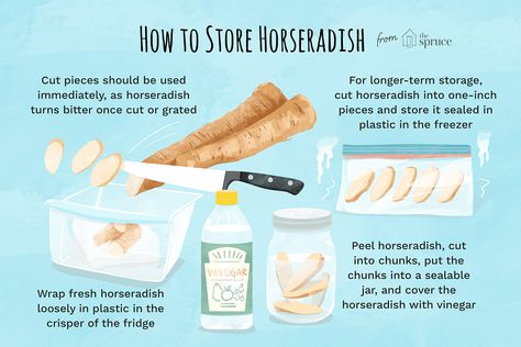 All About Fresh Horseradish Root Horseradish Benefits, Cold Weather Meals, Horseradish Recipes, Slovak Recipes, Fresh Horseradish, Autoimmune Paleo Recipes, Cold Weather Food, Autoimmune Paleo, How To Store