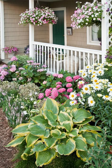 Garden Shed Landscape Front Porch Flowers, Bigleaf Hydrangea, Porch Flowers, Fall Garden Vegetables, Recycled Garden, Going To Rain, Image Nature, Garden Shrubs, Proven Winners