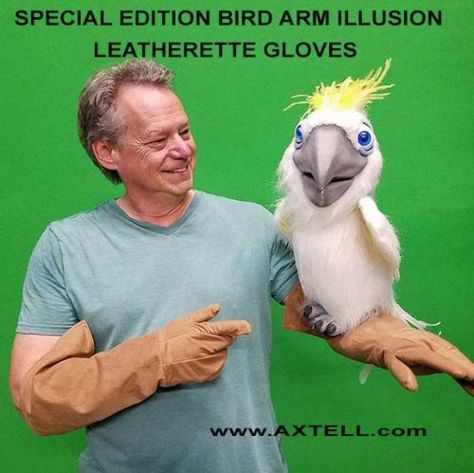 Arm Puppet Costume, Box Trolls, Diy Puppets, Illusion Magic, Bird Puppet, Ventriloquist Doll, Puppet Costume, Puppet Ideas, Custom Puppets