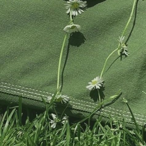 Tan And Green Aesthetic, Green And Tan Aesthetic, Khaki Green Aesthetic, Green Asthetics Photos, Green Pics, Green Aesthetic Tumblr, Green Core, Grass Flowers, Mint Green Aesthetic