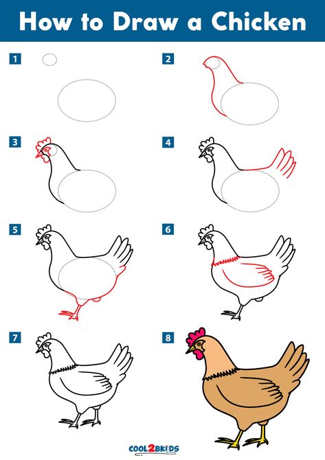 How to Draw a Chicken | Cool2bKids Doodle Chicken Drawing, How To Draw Chicken, How To Draw A Chicken, Draw Chicken, Chicken Outline, Draw A Chicken, Gods And Generals, Chicken Drawing, Chicken Minis