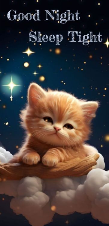 Good Night Kitty, Goodnight Stickers, Good Night Cats, Cats Gif, Goodnight Images, Good Night Cat, Good Night Images Hd, Frugal Habits, Good Night Sleep Tight