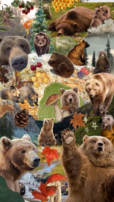 Pictures Of Bears, Cocoppa Wallpaper, Bear Pictures, Phone Wallpaper Patterns, Bear Wallpaper, Art Collage Wall, Cute Wallpaper Backgrounds, Cute Little Animals, Cool Wallpaper