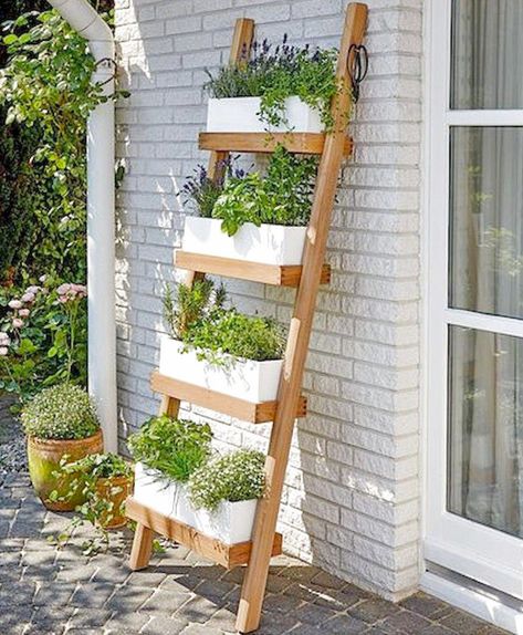 Wooden step ladder