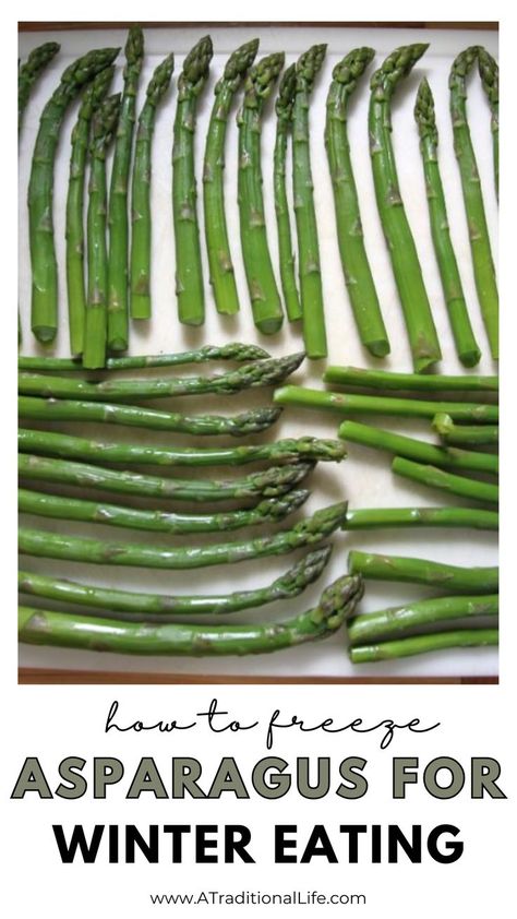 How to freeze asparagus for winter eating. How To Freeze Asparagus, Freezing Asparagus, Freeze Vegetables, Asparagus Stir Fry, Creamed Asparagus, Asparagus Seasoning, Asparagus Fries, Asparagus Pasta, Asparagus Soup