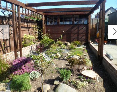 Great example of a tortoise enclosure. Photo from photobucket Russian Tortoise Diet, Tortoise Enclosure, Russian Tortoise, Tortoise Care, Tortoise Habitat, Baby Tortoise, Perfect Diet, Young Animal, Diet Guide