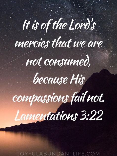 Because of God’s Mercy, We Are Not Consumed! – Joyful Abundant Life Mercy Quotes, God's Mercy, I Need God, Thanks To God, Mercy Me, Gods Mercy, Bible Study Tips, Taste And See, Devotional Books