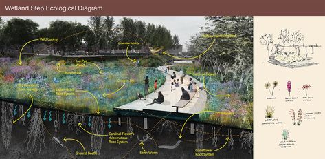 Trees Architecture, Landscape Architecture Portfolio, Landscape Portfolio, Landscape Design Drawings, Concept Models Architecture, Concept Diagram, Student Awards, Tree Canopy, Urban Nature