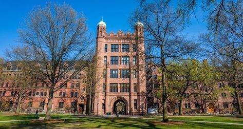 Yale University Yale University Campus, Hogwarts University, School Counsellor, Usa University, Us Universities, University Admissions, Private University, Top Colleges, Yale University