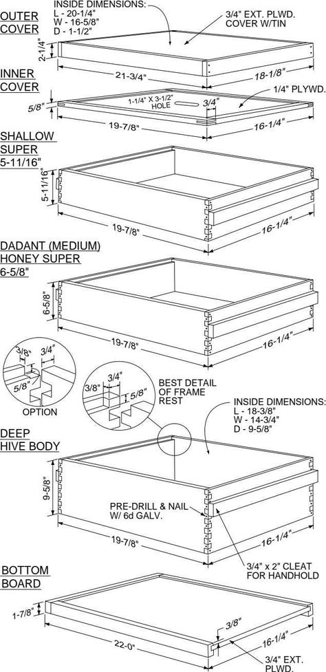 10-frame Langstroth Beehive.pdf Beehive Designs, Beehive Plans, Bee Nuc, Beehive Drawing, Langstroth Hive Plans, Building A Beehive, Honey Bee Box, Bee Hive Stand, Bee Keeping Hives