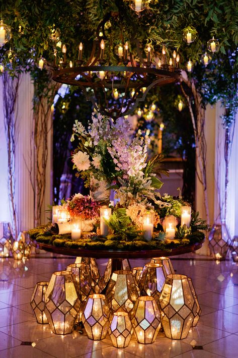 Forest Quinceanera Theme, Wedding Enchanted Forest, Forest Lighting, Enchanted Forest Quinceanera Theme, Enchanted Forest Quinceanera, Enchanted Forest Prom, Enchanted Forest Decorations, Forest Theme Party, Rapunzel Wedding