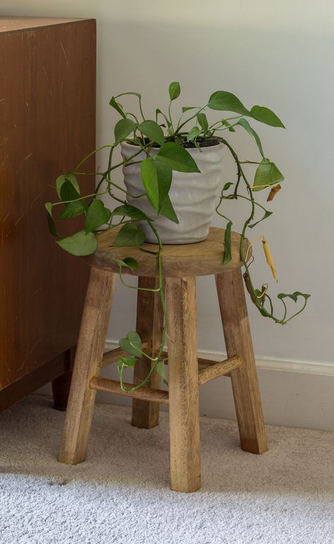 how to shorted a barstool to use as a plant stand Diy Wood Stool, Wooden Stools Diy, Small Wooden Stool, Farmhouse Stools, Diy Stool, Bathroom Stool, Industrial Bar Stools, Wooden Bar Stools, Wood Plant Stand