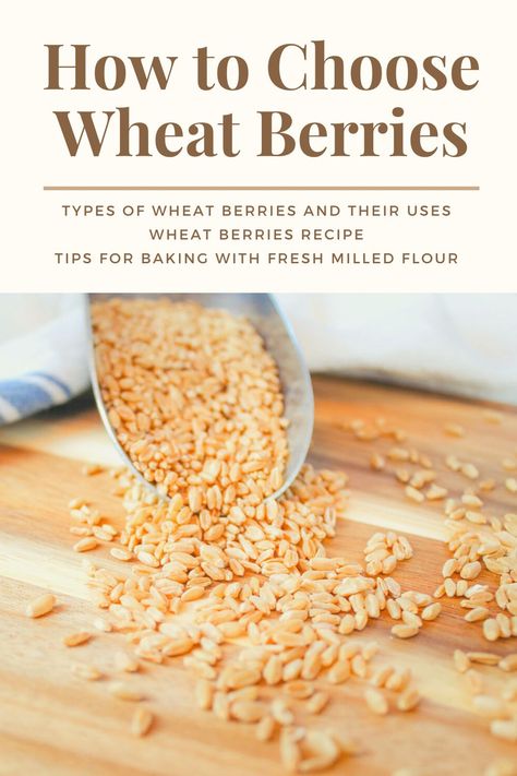 How to Choose Wheat Berries | Wheat Varieties - WholeMade Homestead Baking With Fresh Milled Flour, Wheat Berry Bread Recipe, Wheat Berry Recipes, Wheat Recipes, Homemade Breads, Flour Alternatives, Sourdough Starter Recipe, Yeast Bread Recipes, Wheat Berries