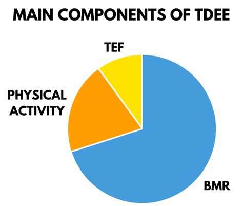 Tdee Calculator Flexible Dieting, Doctor Of Osteopathic Medicine, Basal Metabolic Rate, Calorie Calculator, Exercise Activities, Flexible Dieting, Maintain Weight, Light Exercise, Daily Energy